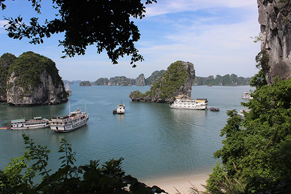 Tour Hạ Long 1 ngày